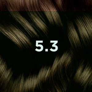 5.3 Châtain Clair Doré 
