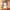 COLORATION PHYTO 1 Noir