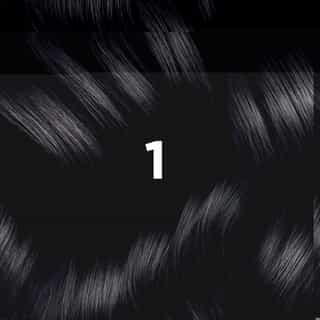 COLORATION PHYTO 1 Noir