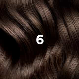 COLORATION PHYTO 6 Blond Foncé