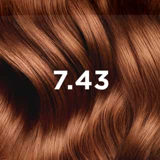 COLORATION PHYTO 7.43 Blond Cuivré Doré