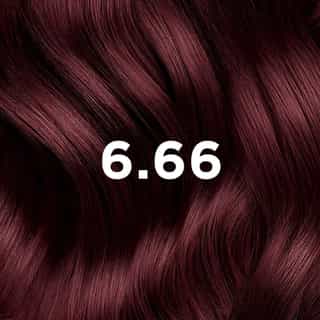 COLORATION PHYTO 6.66 Châtain Clair Cerise Intense