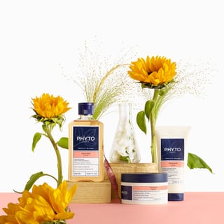 Ensemble Web