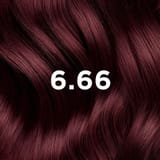 COLORATION PHYTO 6.66 Châtain Clair Cerise Intense