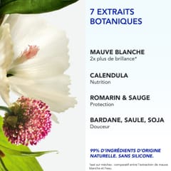 PHYTO 7 ELIXIR CRÈME DE JOUR UNIVERSELLE