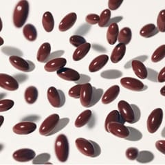 Duo PHYTOPHANERE et POLLEINE