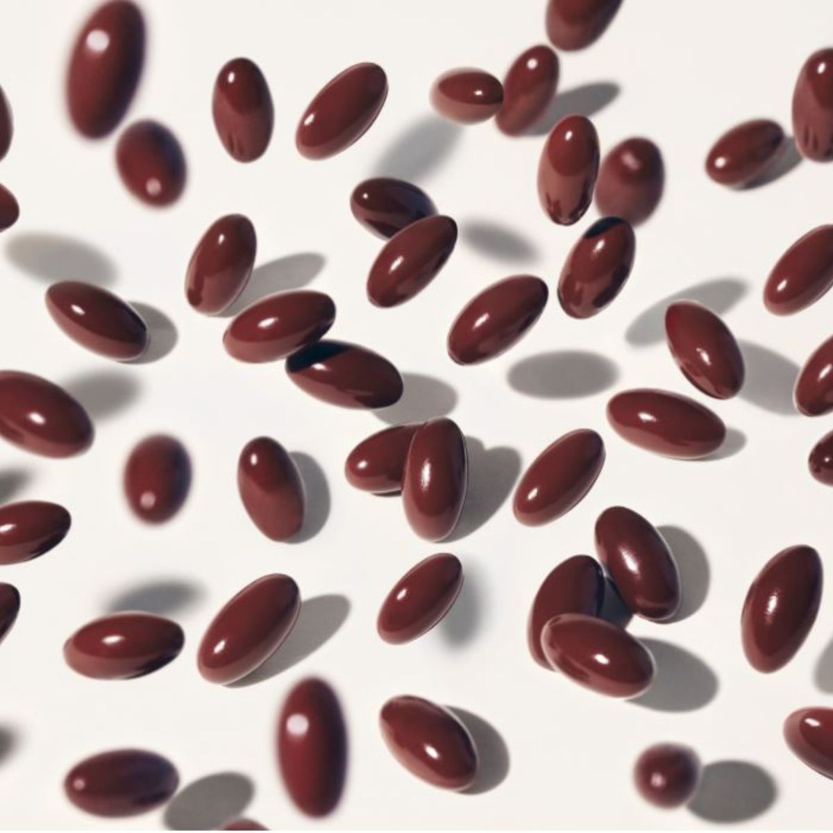 Duo PHYTOPHANERE et POLLEINE
