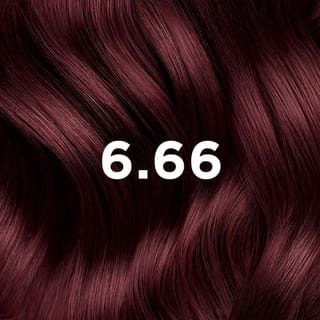 COLORATION PHYTO 6.66 Châtain Clair Cerise Intense
