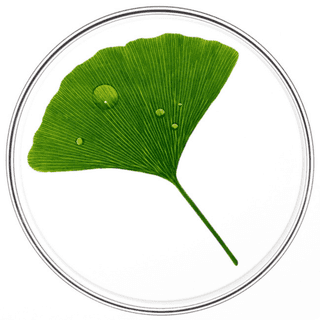 PHYTOCYANE Sérum Capillaire Revitalisant Femme