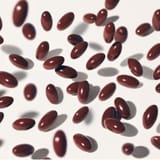 Duo PHYTOPHANERE et POLLEINE